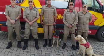 Goiás envia bombeiros e cães para ajudar nas buscas por desaparecidos em Pernambuco
